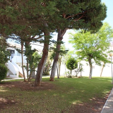 Apartament La Mandragora Chiclana de la Frontera Zewnętrze zdjęcie